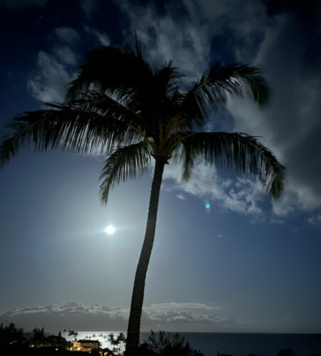 Photo of the Day: A Maui moon